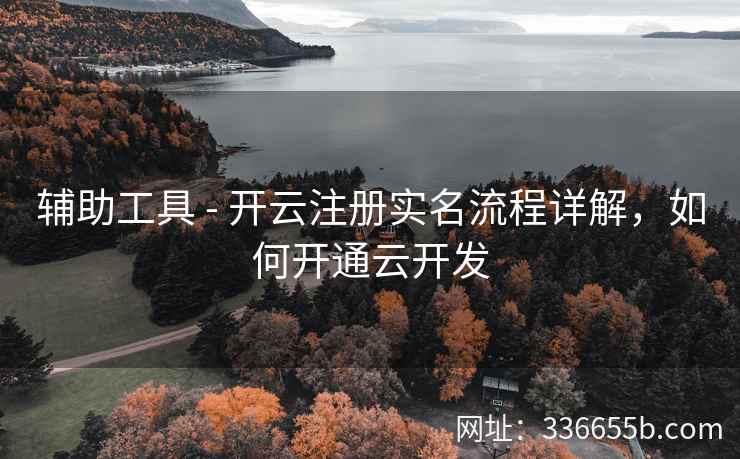 辅助工具 - 开云注册实名流程详解，如何开通云开发